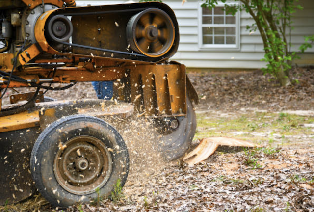 stump removal in Kilmichael